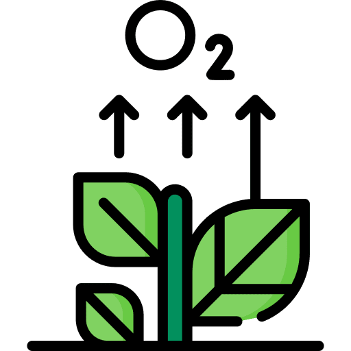 Photosynthesis sun weather photosynthesis icon