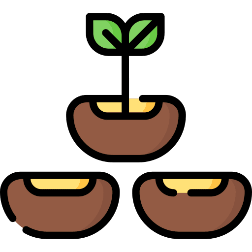 Seeds farming and gardening growing seed natural icon