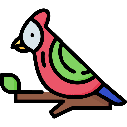 Bird tropical parrot wildlife icon