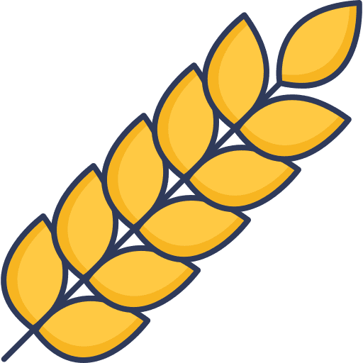 Wheat food farming and gardening wheat icon