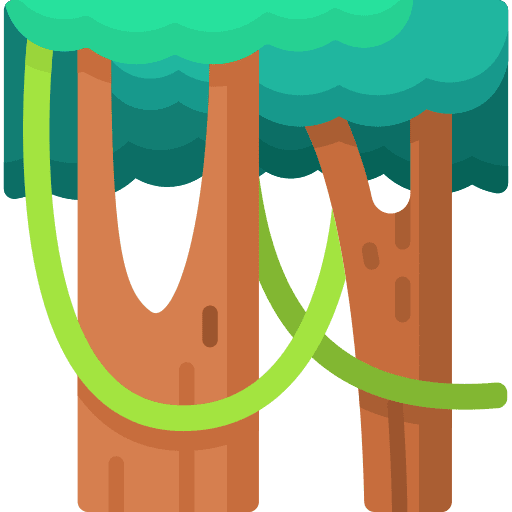 Rainforest leaf nature plant icon
