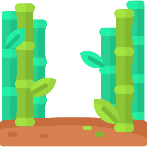 Bamboo botanical wood forest icon