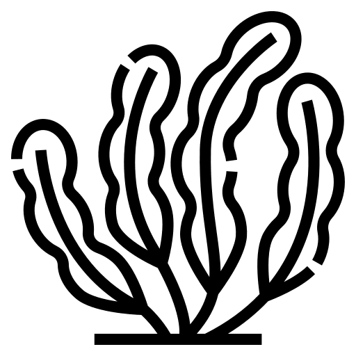 Seaweed ocean aquatic nature icon