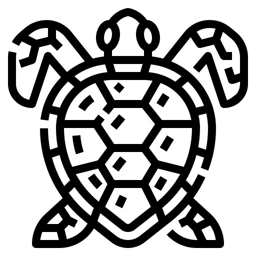 Turtle aquatic sea animal icon