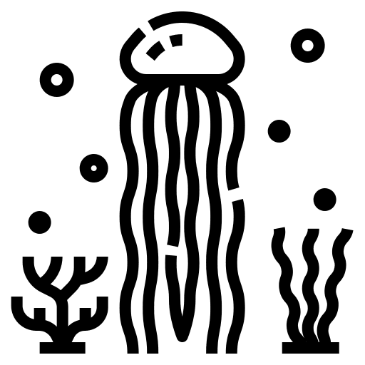 Jellyfish animals animal aquatic icon