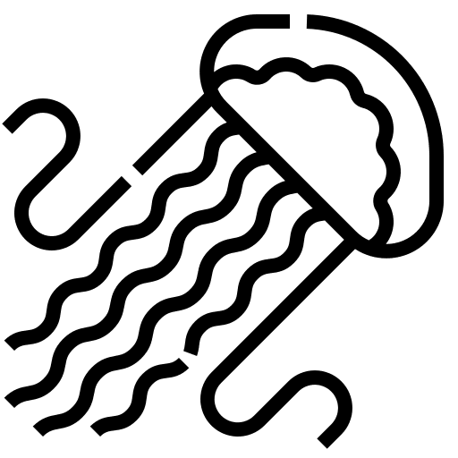 Jellyfish jellyfish marine ocean icon