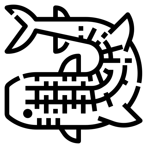 Shark marine shark fish icon