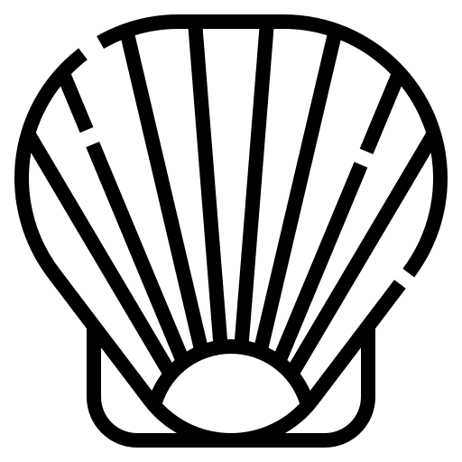 Shell shell animals ocean icon