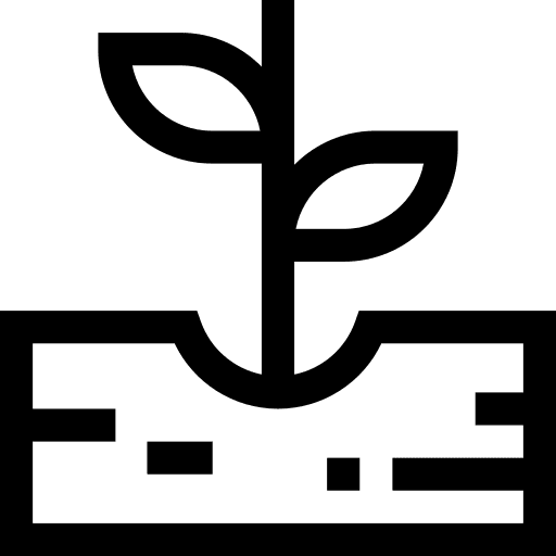 Sprout seeds soil plant icon