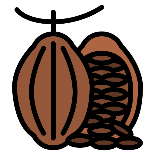 Cocoa cocoa bean seed cocoa icon