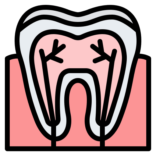 Teeth tooth healthcare and medical molar icon