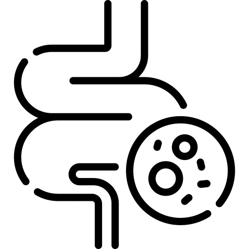 Guts digestive system body part guts icon