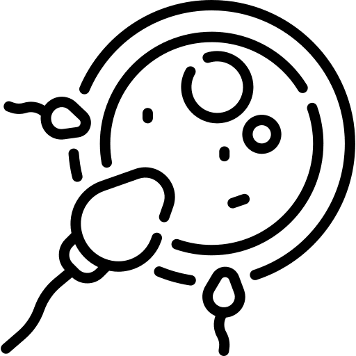Reproduction fertilization ovum education icon