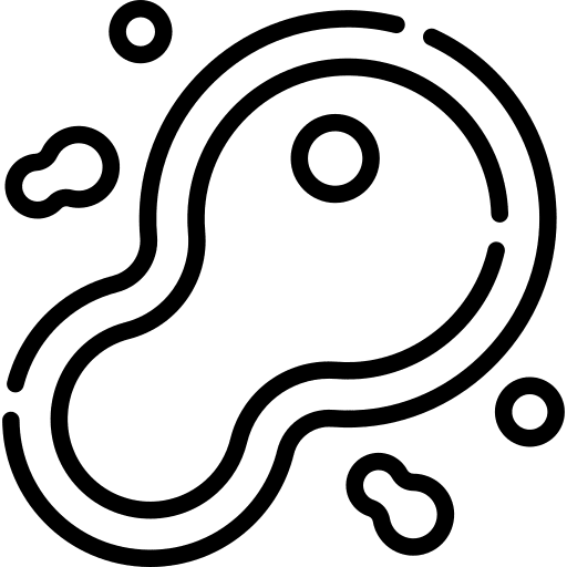 Cell division education cell division biology icon