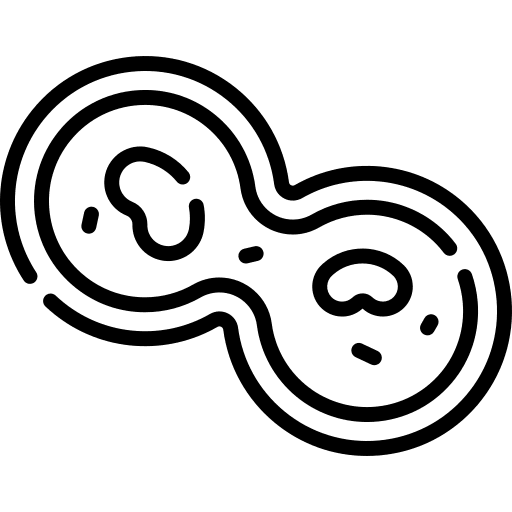 Mitosis cytology education cell division icon