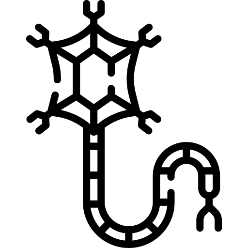 Neuron neurology education anatomy icon