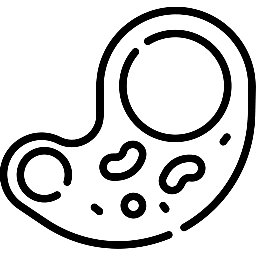 Amoeba education amoeba cell icon