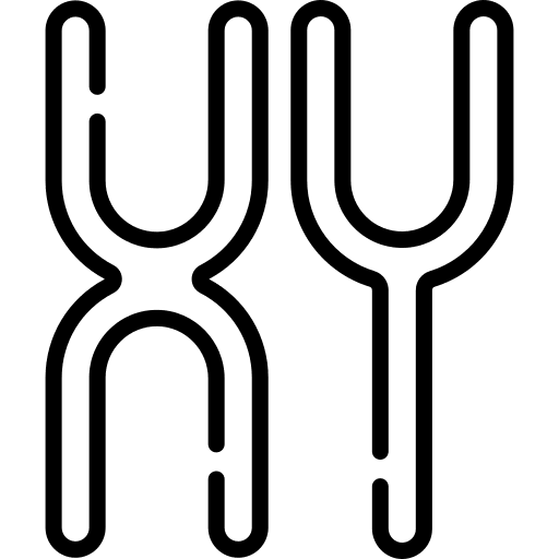 Chromosome healthcare genetics chromosome icon