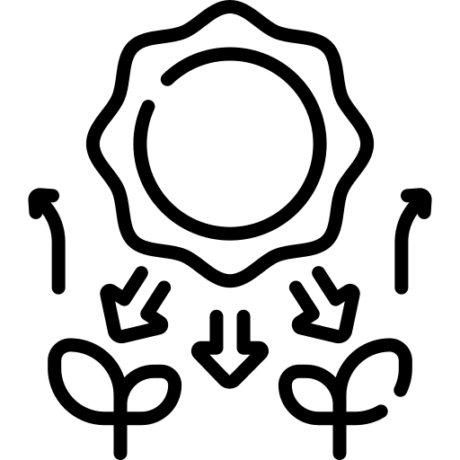 Photosynthesis sprout photosynthesis plant icon