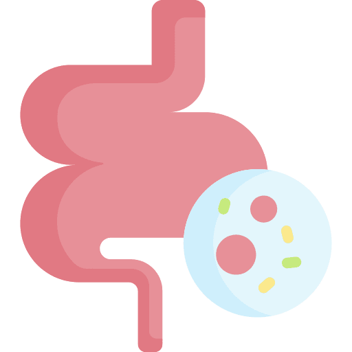 Guts intestine digestive system guts icon