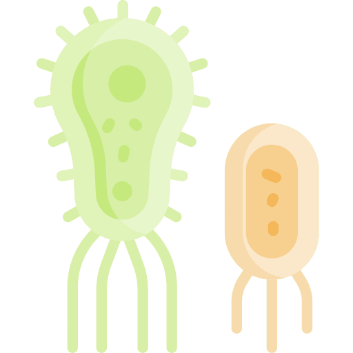 Microbe education bacterium microbe icon