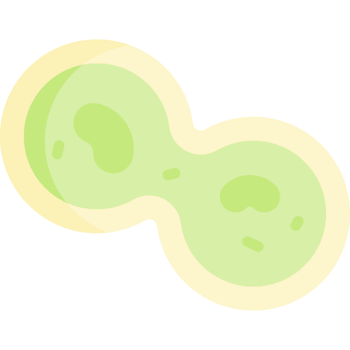 Mitosis education cell division biology icon