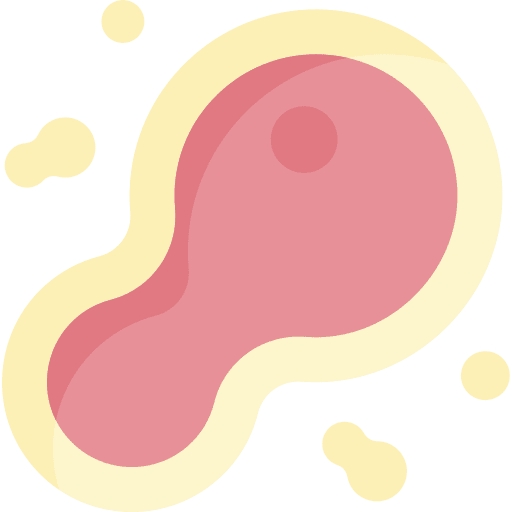 Cell division biology science cytology icon