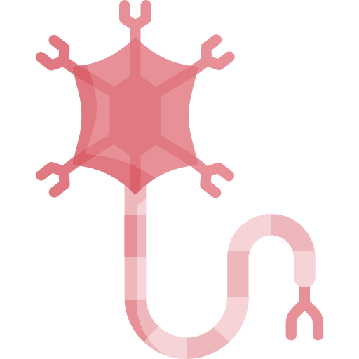 Neuron anatomy brain neuron icon