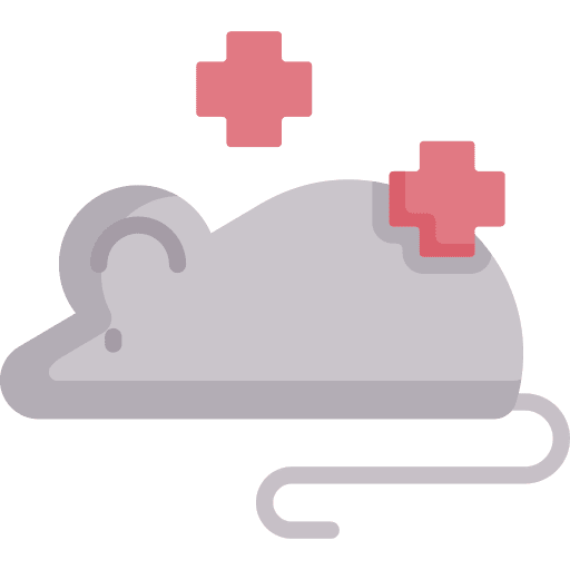 Rat mouse rat animal icon