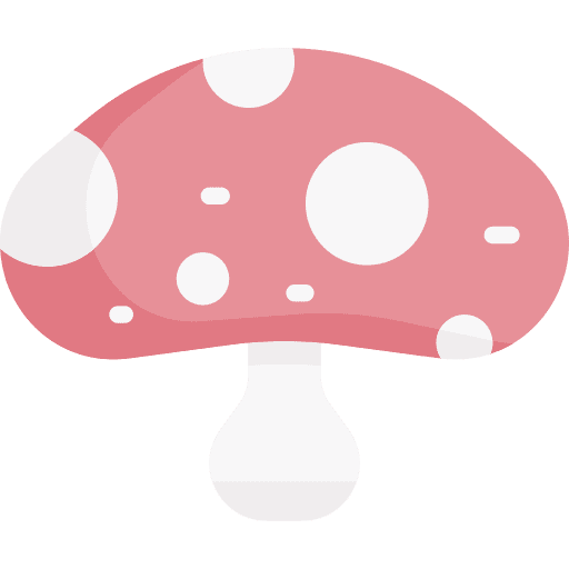 Mushroom muscaria nature vegan icon