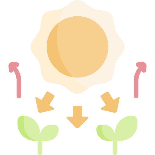 Photosynthesis sun education science icon