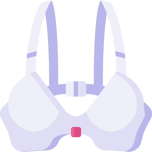 Bra brassiere clothing garment icon