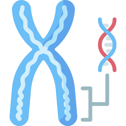 Chromosome science analysis medical icon