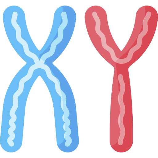 Male biochemistry chemical xy icon