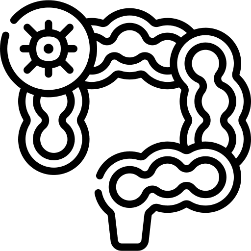 Colon cancer appendix intestines disease icon