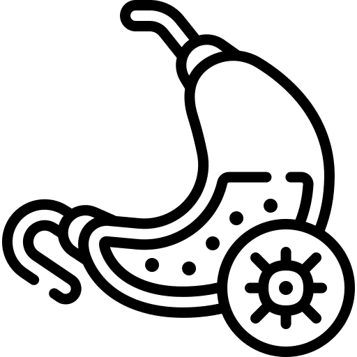 Stomach cancer healthcare and medical medical medicine icon
