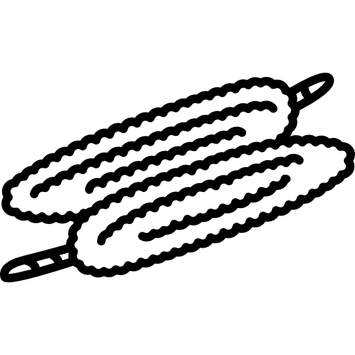 Corn america vegan cereal icon