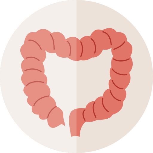 Intestine medical body part colon icon