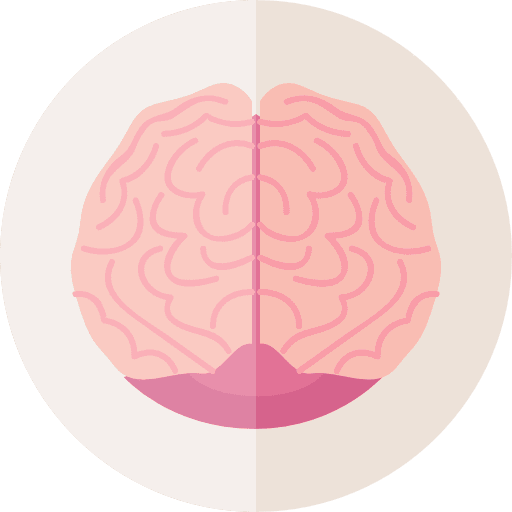 Brain brain anterior anterior part medical icon