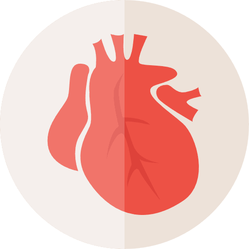 Heart healthcare and medical body parts hospital icon