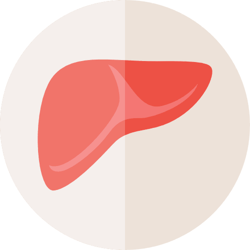 Liver liver anatomy organ icon