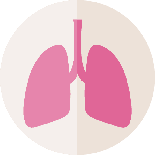 Lung organ breath lung icon