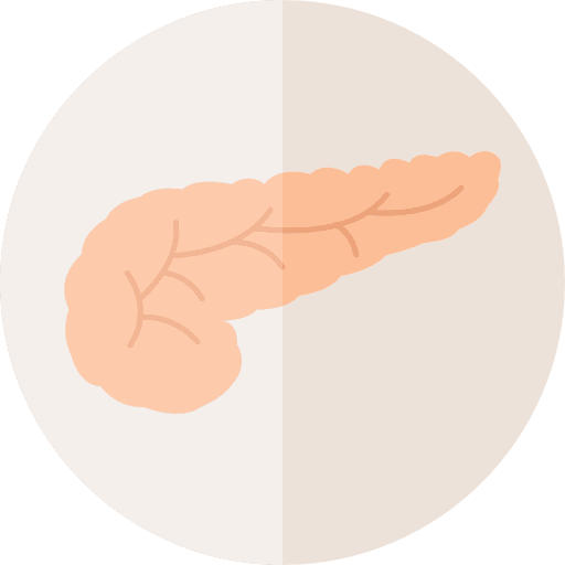 Pancreas anatomy medical pancreas icon