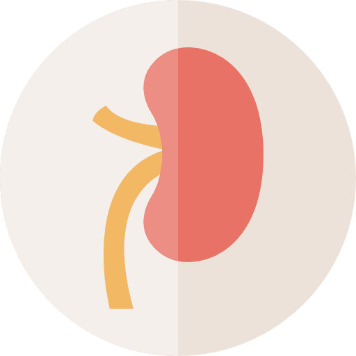 Spleen healthcare and medical body body parts icon