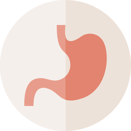Stomach medical anatomy stomach icon