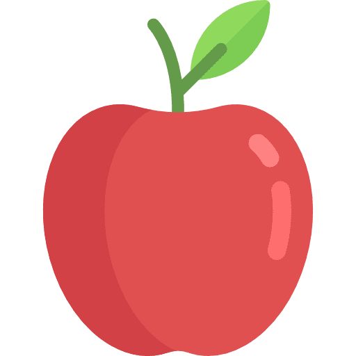 Apple diet food vegetarian icon