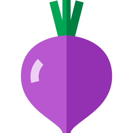 Beet food healthy food diet icon