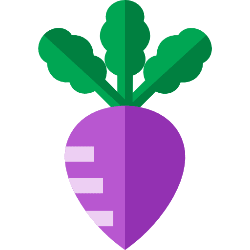 Turnip food and restaurant healthy food diet icon