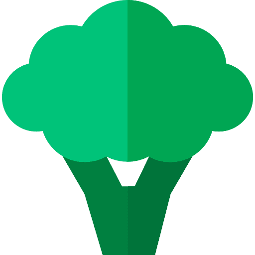 Broccoli vegetarian vegetables foods icon