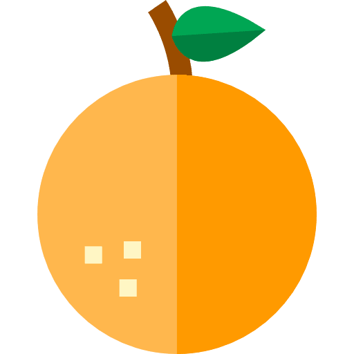 Orange food and restaurant food orange icon